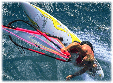 duck.gif (76134 Byte)