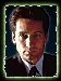 mulder_thumb.jpg (6886 Byte)